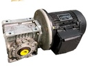 BONFIGLIOLI  W63 U P 60 i=19 MOTOREDUCTOR