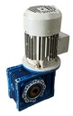 MOTOVARIO NMRV 060  i=100 MOTORREDUCTOR