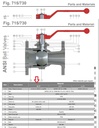 VALVULA ANSI JC FIG.715 150 LB 6”