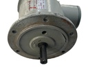 BAUMER TDP 0.2 LT-4  ANTIGUO
