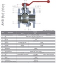 VALVULA ANSI JC FIG.515 150LB 3” – ACTUADOR