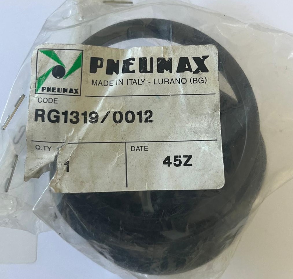 PNEUMAX  RG1319/0012