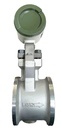 YF110 AARB1D-S353*E  VORTEX FLOWMETER