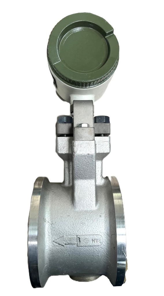 YF110 AARB1D-S353*E  VORTEX FLOWMETER