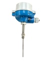ENDRESS+HAUSER_TMT181-B + PT100