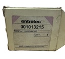 0010 132 15 RB121A-110-220VAC-DC  ENTRELEC