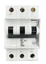 SIEMENS 5SX1306-4FB
