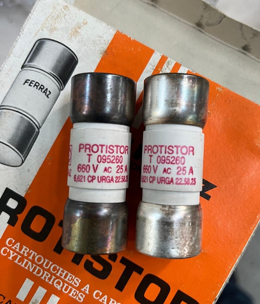 PROTISTOR T095260 FUSIBLE