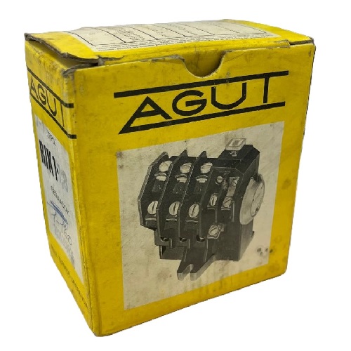 RIK 1.3  AGUT  