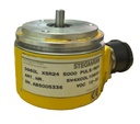 STEGMANN  DG60L XSR24