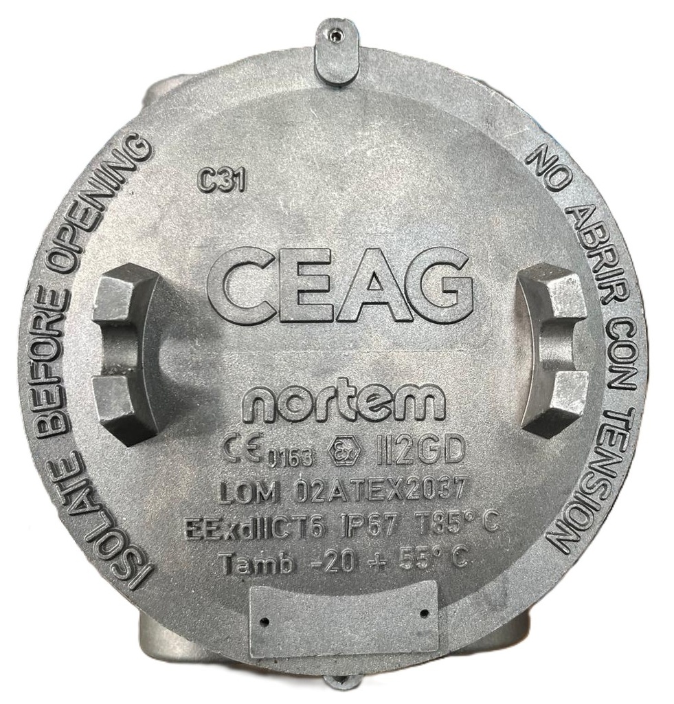 C31 Ceag  (copia)