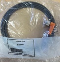 E10900 IFM