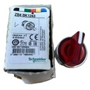 ZB4BK1253  TELEMECANIQUE 