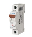 PLSM-C4-MW-242198