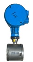 IFC080K + IFS5000 KROHNE DN 50