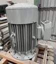 LOHER DNGW-250MB-04P  V3