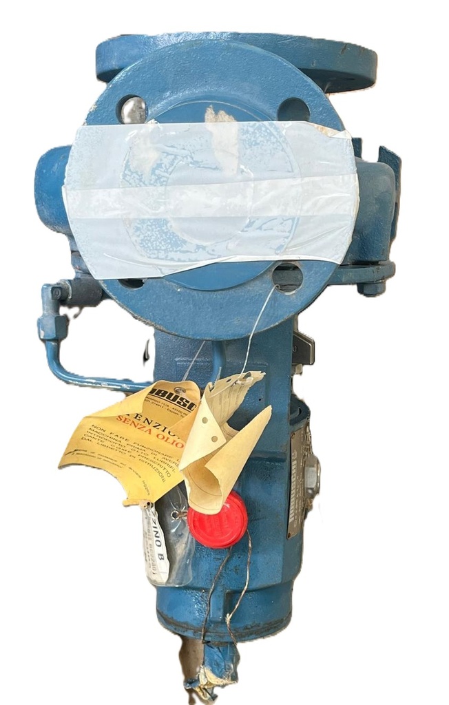 ROBUSCHI RNS 50-160 TN-06/ATEX