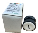 Schneider Electric ZB5 AA334 cabeza de pulsador rasante blanco con flecha