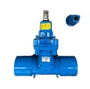 Belgicast BV-05-47 Bakio DN70 válvula de compuerta DN70