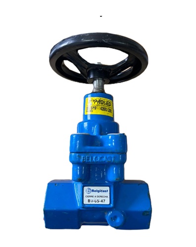 BV-05-47 1 1/2 ROSCA HEMBRA BELGICAST