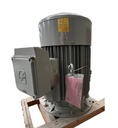 Loher DNGW-250MB-04P V3 motor antideflagrante 55 kW 4 polos
