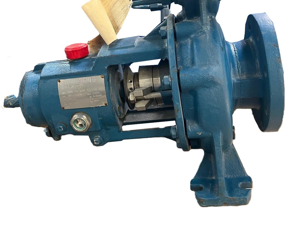 ROBUSCHI RNS 50-160 TN-06/ATEX
