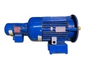 Euromotori MAK 112 M 4 motor antideflagrante 4 kW con ventilación forzada