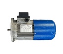 TAUSEND 0.55 KW AUTOFRENANTE