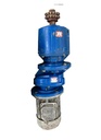 Bonfiglioli MAS35/DP + MR19/F motorreductor i=1053 con motor 0,75 kW