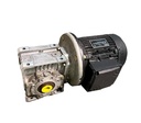 BONFIGLIOLI  W63 U P80 i=19 MOTORREDUCTOR