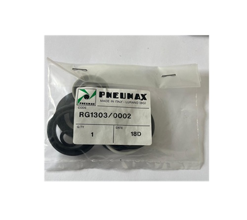 Pneumax RG1303/0002 kit de juntas para cilindro Ø 40 mm