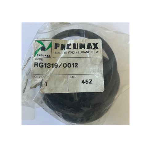 [NVAR00023] PNEUMAX  RG1319/0012
