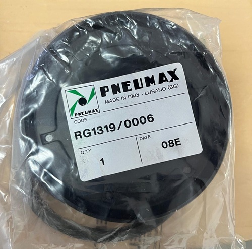 [CILNEU00035] PNEUMAX RG1319/0006 SELLO 